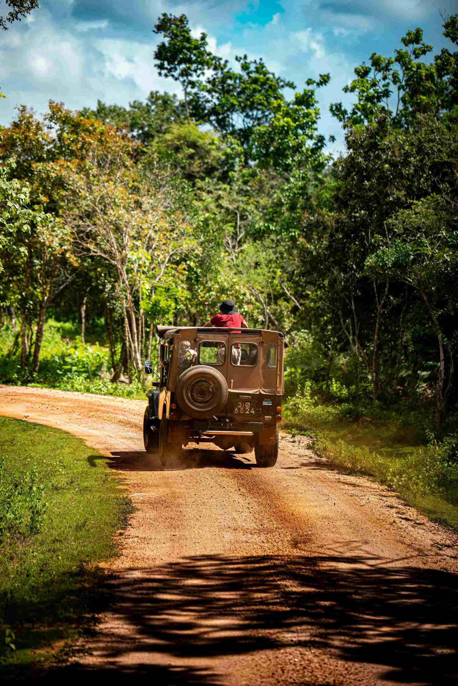 Jeep Safari